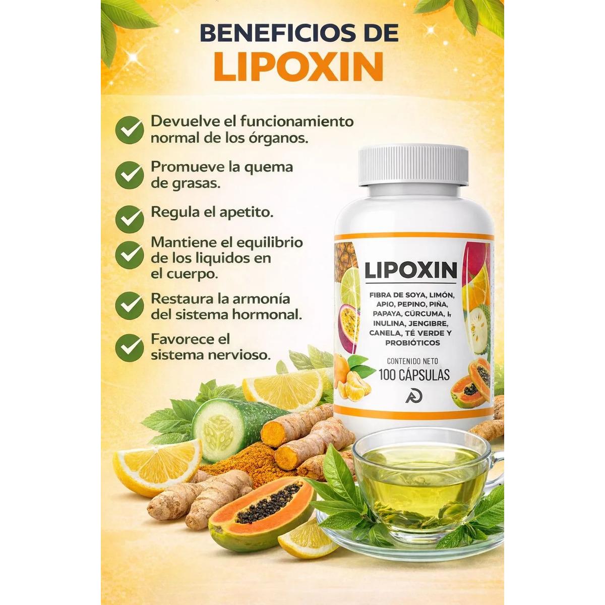 Lipoxin 100 Cápsulas Suplemento Fibra + Probióticos - imagen 2
